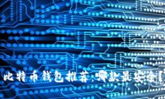 比特币钱包推荐：哪款最