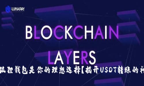 为什么狐狸钱包是你的理想选择？揭开USDT转账的神秘面纱