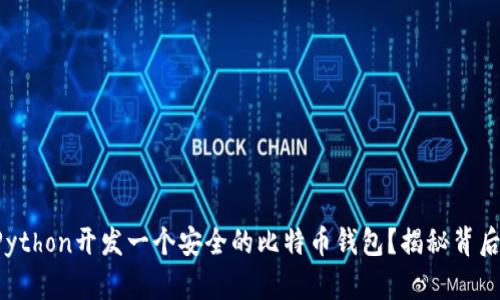 如何用Python开发一个安全的比特币钱包？揭秘背后的秘密！