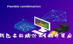 ### 以太坊钱包名称填什么