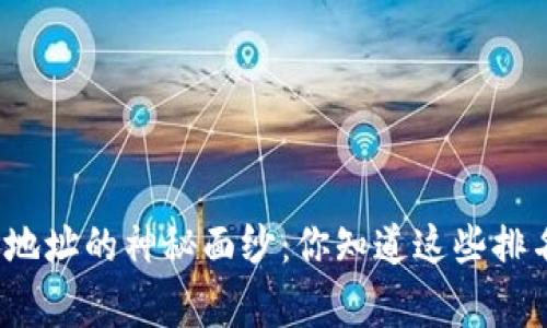 揭开比特币钱包地址的神秘面纱：你知道这些排名背后的故事吗？