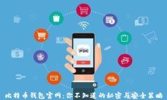 比特币钱包官网：你不知