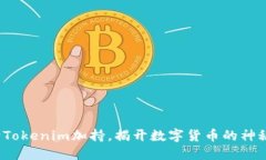 如何给Tokenim加持，揭开数
