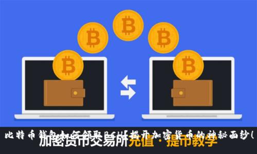 比特币钱包如何领取BCH？揭开加密货币的神秘面纱！