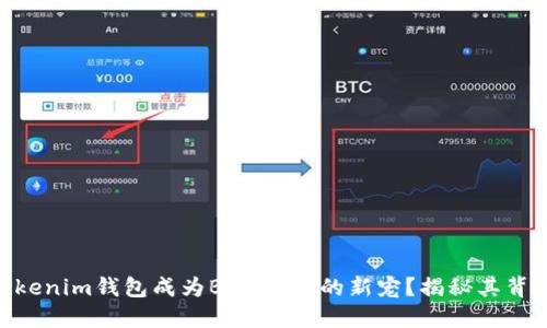 为什么Tokentokenim钱包成为BNB用户的新宠？揭秘其背后的优势与挑战