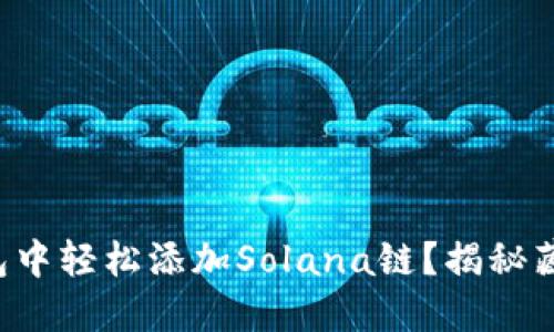 ## 文章

如何在狐狸钱包中轻松添加Solana链？揭秘藏在背后的步骤！