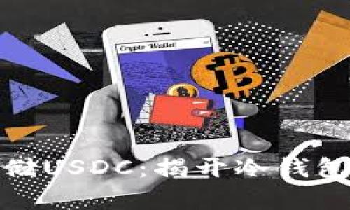 如何安全存储USDC：揭开冷钱包的神秘面纱