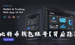 如何轻松查看比特币钱包