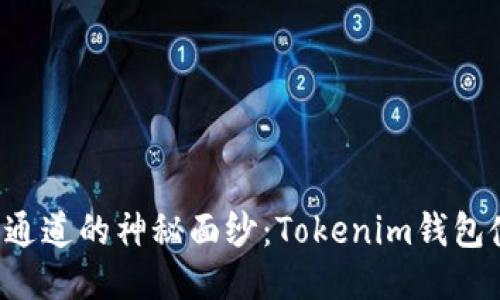 揭开混币通道的神秘面纱：Tokenim钱包使用指南！