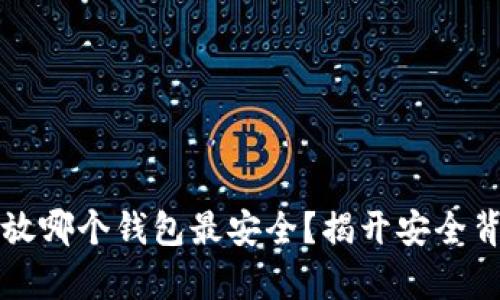 比特币存放哪个钱包最安全？揭开安全背后的秘密