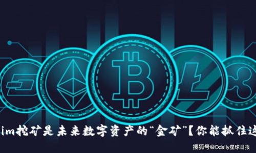 为什么Tokenim挖矿是未来数字资产的“金矿”？你能抓住这一波机会吗？
