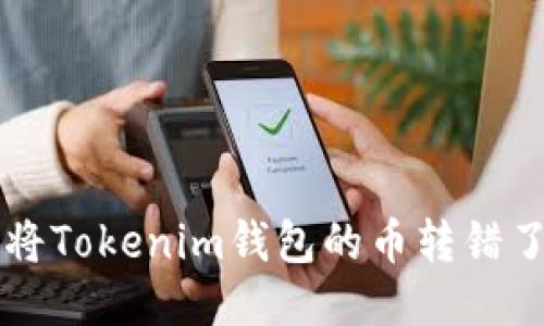 如果你不小心将Tokenim钱包的币转错了人，该怎么办？