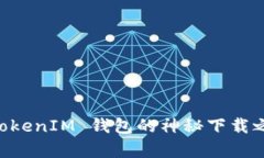 揭秘！仿真 TokenTokenIM 钱包