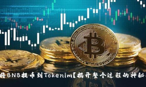 如何将BNB提币到Tokenim？揭开整个过程的神秘面纱！