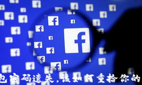 
比特币钱包密码遗失，该如何重拾你的数字财富？