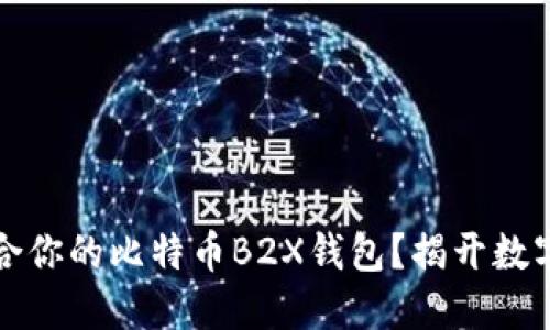 如何选择适合你的比特币B2X钱包？揭开数字资产的秘密