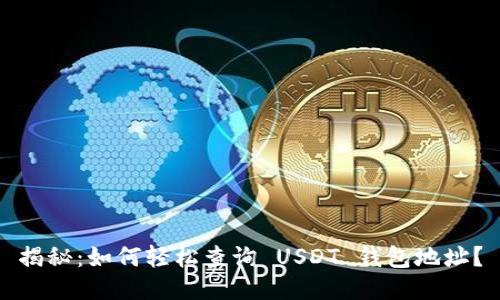 揭秘：如何轻松查询 USDT 钱包地址？