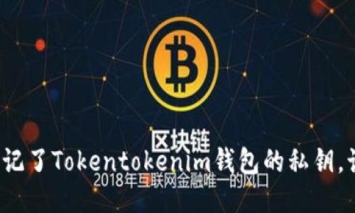 如果你忘记了Tokentokenim钱包的私钥，该怎么办？