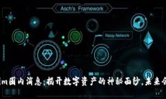 Tokenim圈内消息：揭开数字资产的神秘面纱，未来