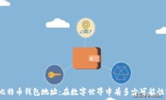   比特币钱包地址：在数字