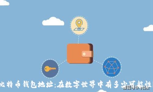   
比特币钱包地址：在数字世界中有多少可能性？