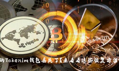 你的Tokenim钱包丢失了？来看看这些恢复方法吧！