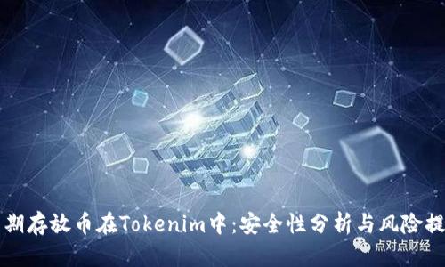 长期存放币在Tokenim中：安全性分析与风险提示