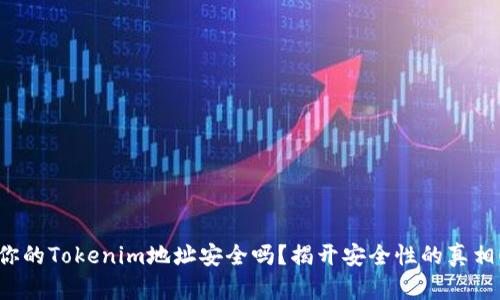 你的Tokenim地址安全吗？揭开安全性的真相！
