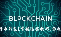 如何安全使用比特币钱包