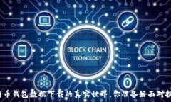   揭秘比特币钱包数据下载