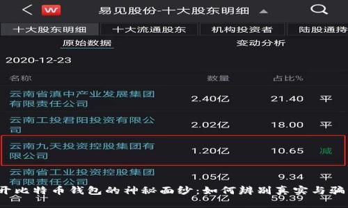 揭开比特币钱包的神秘面纱：如何辨别真实与骗局？