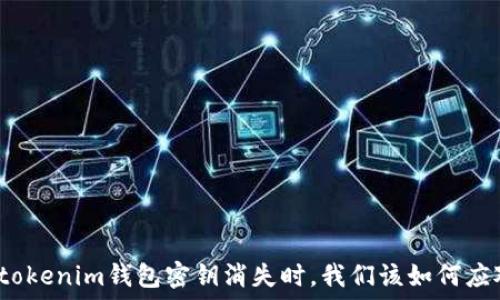   
当tokenim钱包密钥消失时，我们该如何应对？