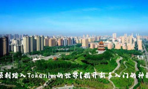 如何顺利踏入Tokenim的世界？揭开新手入门的神秘面纱