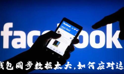   
比特币钱包同步数据太大，如何应对这一挑战？
