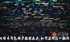   比特币钱包同步数据太大