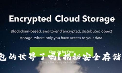 你准备好进入比特币钱包的世界了吗？揭秘安全存储和管理数字资产的秘诀！