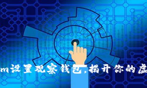 如何通过Tokenim设置观察钱包，揭开你的虚拟资产神秘面纱