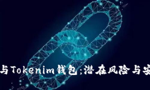 空投币与Tokenim钱包：潜在风险与安全须知