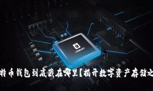 比特币钱包到底藏在哪里？揭开数字资产存储之谜