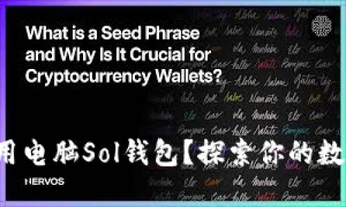 如何选择和使用电脑Sol钱包？探索你的数字资产新天地！