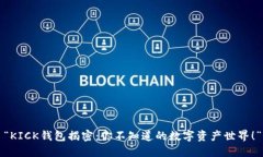 “KICK钱包揭密：你不知道