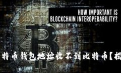 为什么我的比特币钱包地