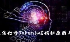 安卓手机无法打开Tokenim？
