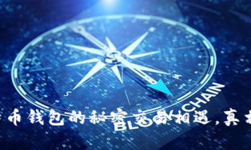 当黑客与比特币钱包的秘密交易相遇，真相会如何揭晓？