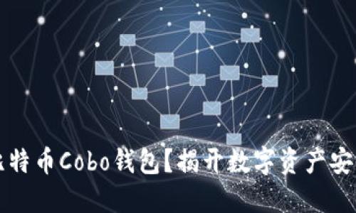 为什么选择比特币Cobo钱包？揭开数字资产安全的神秘面纱