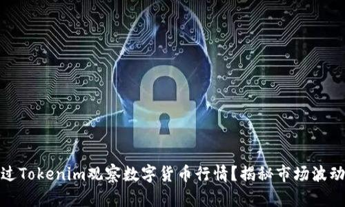 如何通过Tokenim观察数字货币行情？揭秘市场波动的奥秘