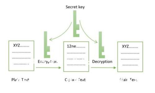 以下是您请求的格式:
假USDT的钱包转账:不可忽视的真相