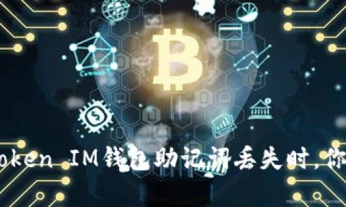 当你的TokenToken IM钱包助记词丢失时，你还有哪些选择？