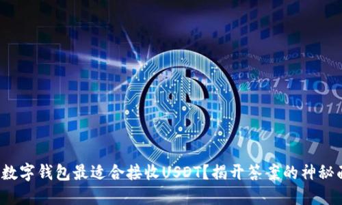 哪种数字钱包最适合接收USDT？揭开答案的神秘面纱！