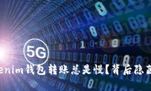 为什么你的Tokenim钱包转账总是慢？背后隐藏的真相是什么？